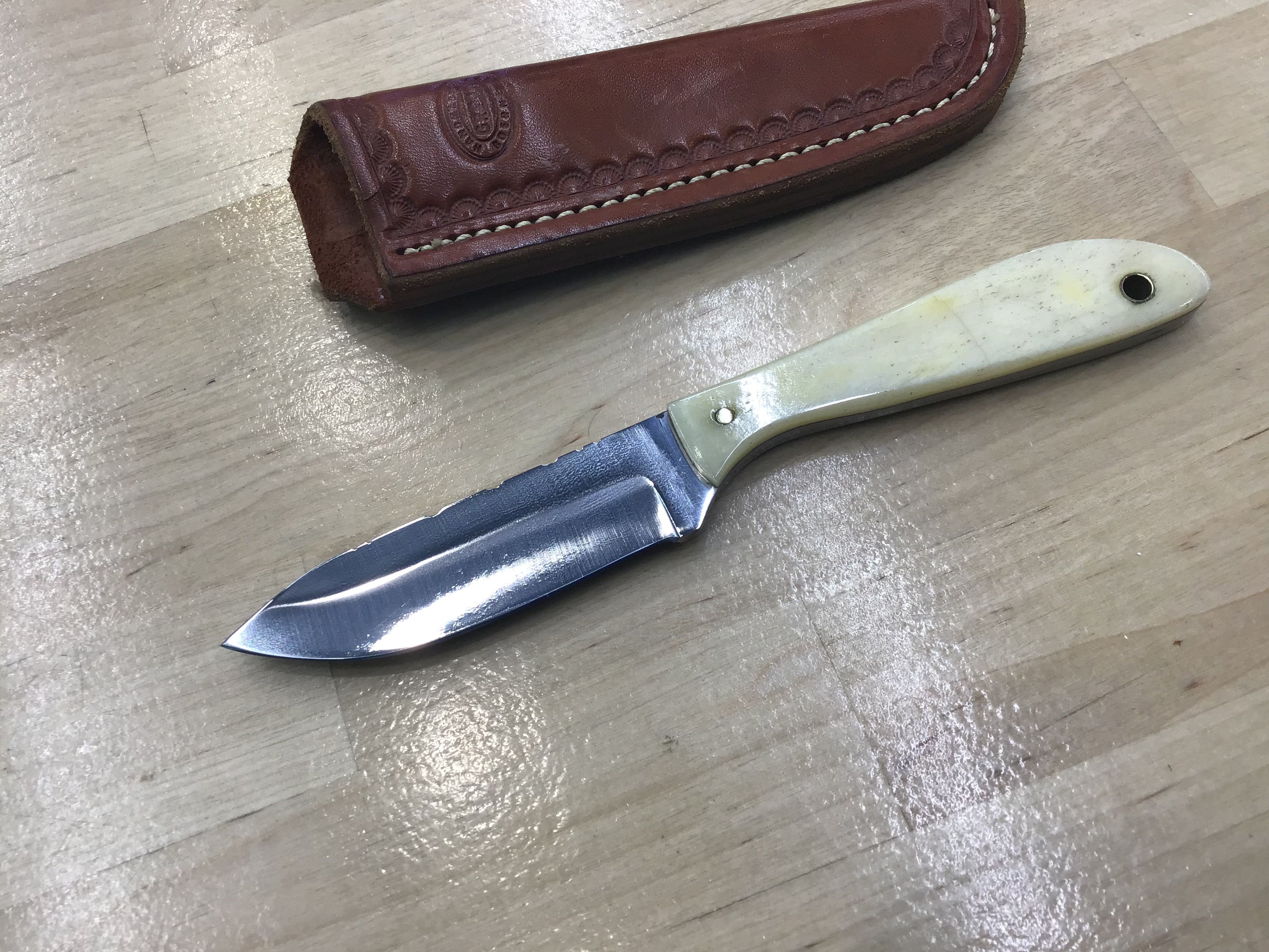 Greco Knives Drop Point Hunter in D2 with Bone handle