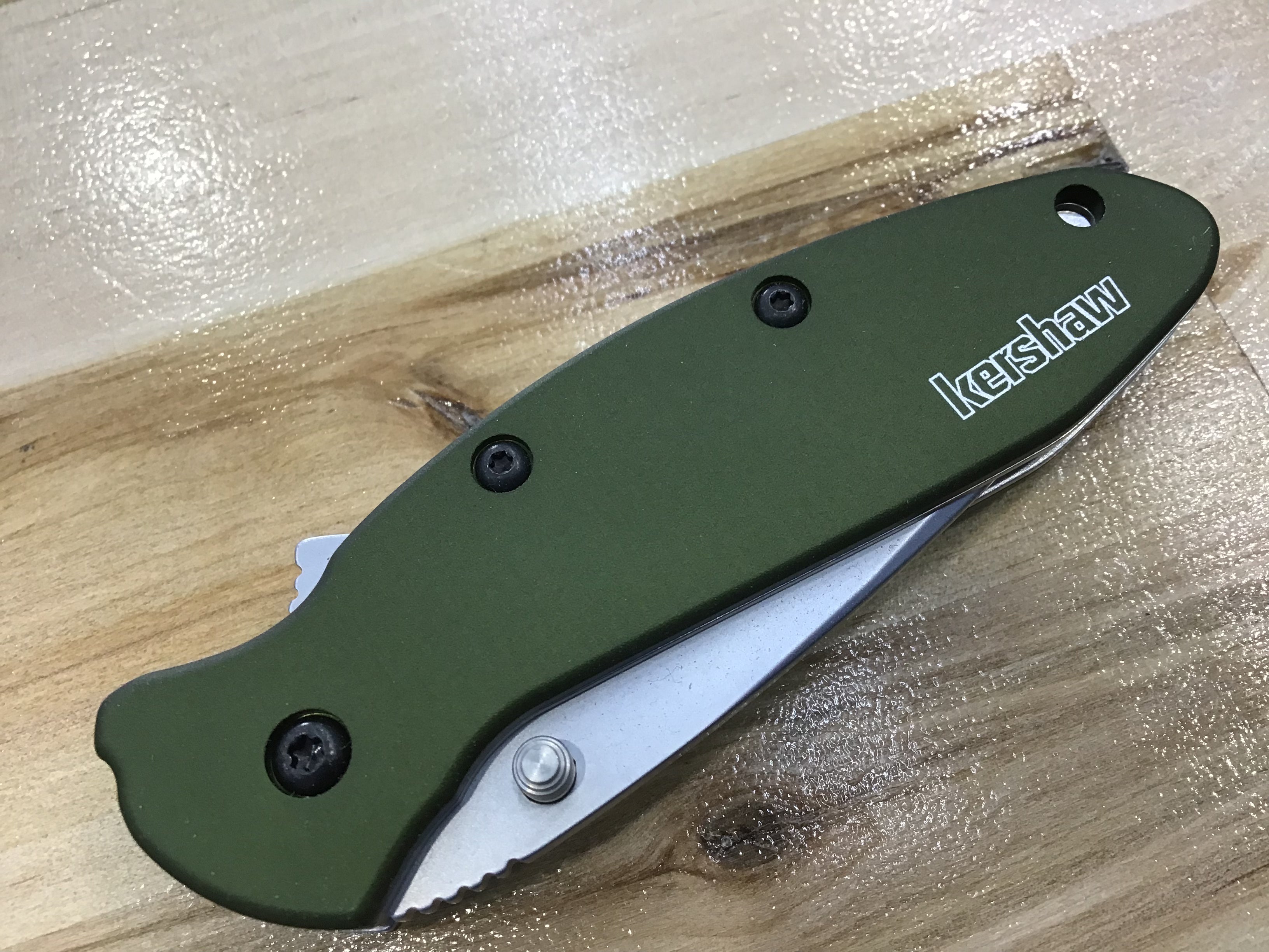 Kershaw Scallion Olive Stainless Handle