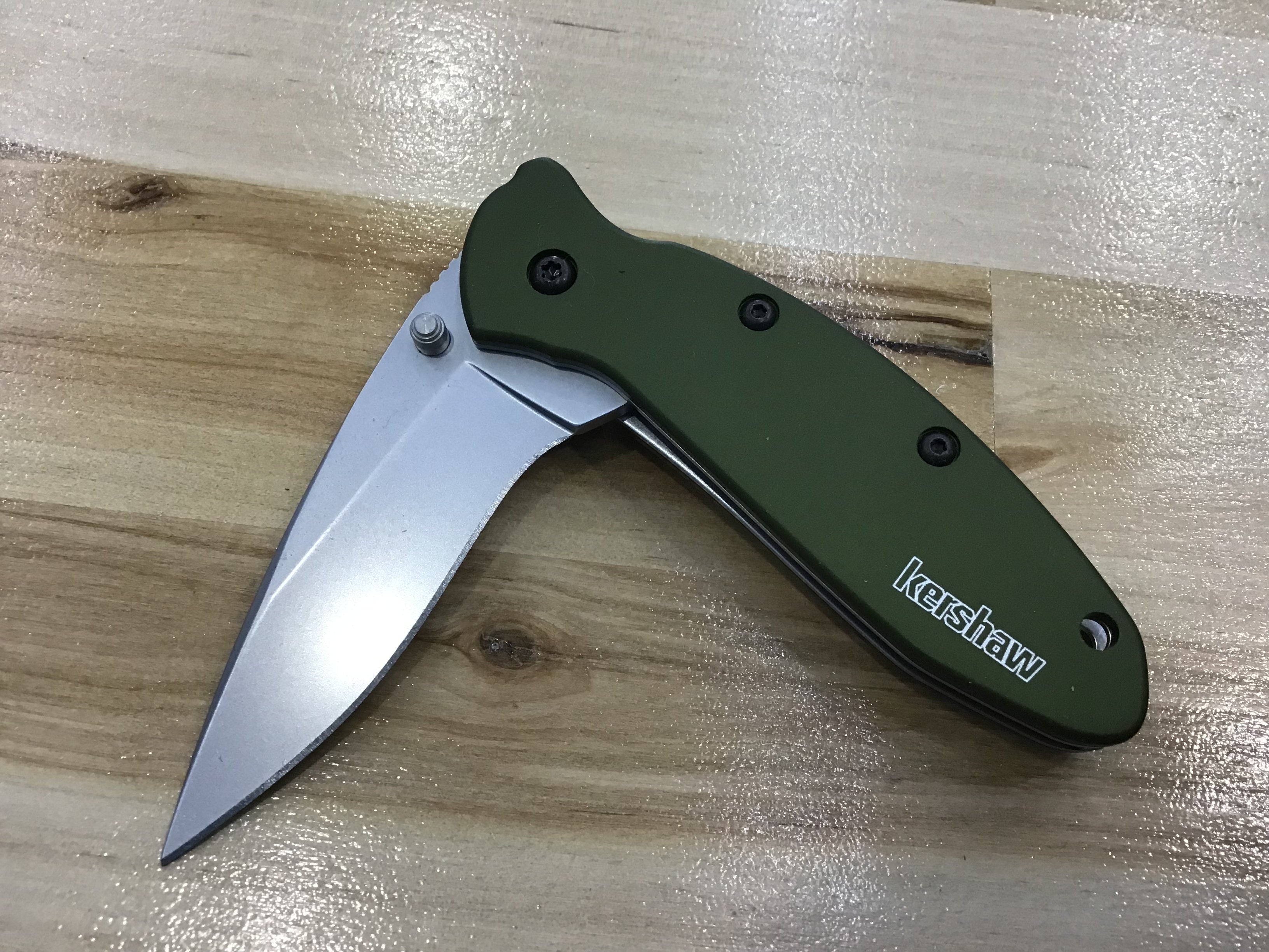 Kershaw Scallion Olive Stainless Handle