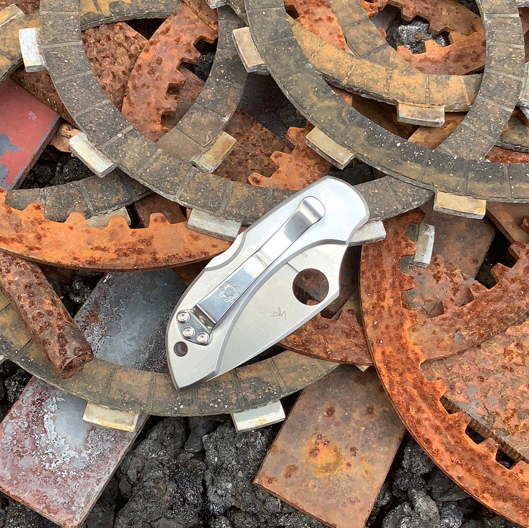 Spyderco Dragonfly en acier inoxydable